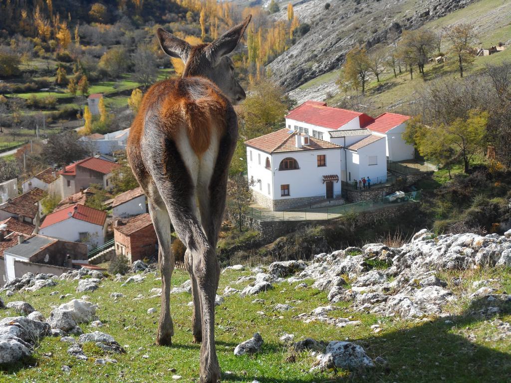 Casa Rural El Perchel Pontones  Pokoj fotografie